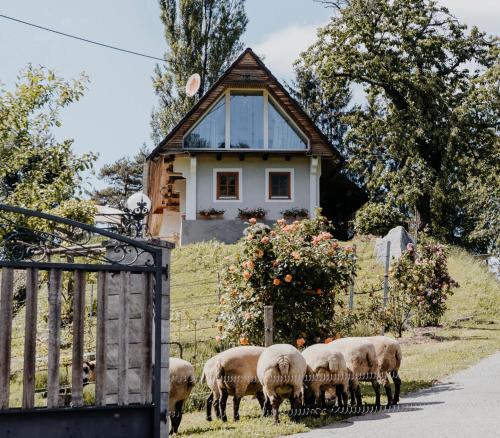 Ferienhaus am HerbstHof