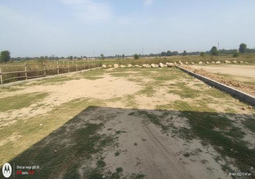 una strada sterrata con un gregge di pecore in un campo di Bramh Dev Athithi Bhavan Naimisharanya a Naimishāranya