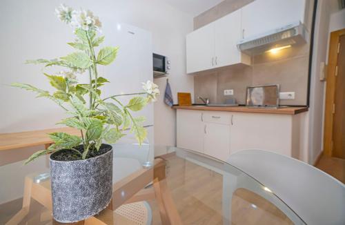 una planta en un jarrón sentado en una mesa en una cocina en Axarquía beach junto al mar, en Vélez-Málaga