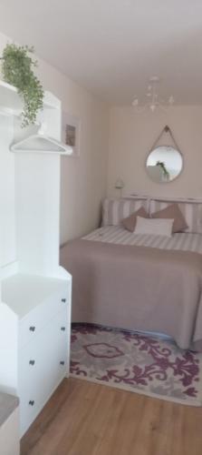 a bedroom with a bed and a mirror and a rug at The Garden Suite 3 Star NITB SuperHost in Dungannon