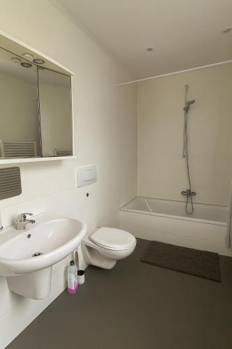 a bathroom with a sink and a toilet and a tub at Cool and Laidback at Sankt Johann in Basel