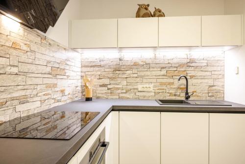 Køkken eller tekøkken på Apartma Masada