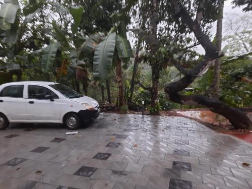 a tree crashes onto a white car in a parking lot at Pariyarathu Bungalow by Ophel Homes in Wayanad