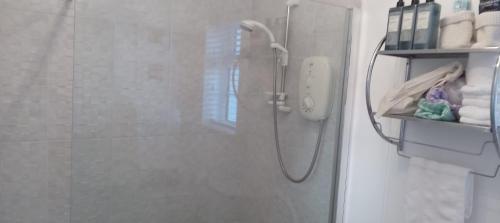 a shower with a glass door in a bathroom at The Garden Suite 3 Star NITB SuperHost in Dungannon
