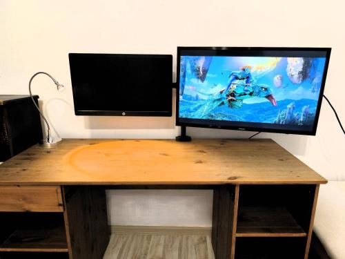 Et tv og/eller underholdning på Botanic Garden Private Room