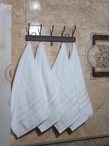 Φωτογραφία από το άλμπουμ του Casa Agricultorului Varzari σε Butuceni