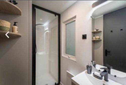 een badkamer met een wastafel en een spiegel bij Mobilehome riviera avec terrasse 23 in Saint-Gervais