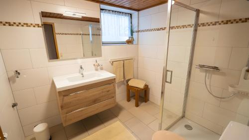 托特瑙Heimatliebe neu的带水槽和淋浴的浴室