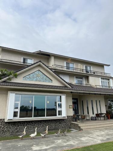 a group of birds walking in front of a building at 台東358民宿 in Taitung City
