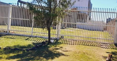 a fence with a tree in front of a building at Dúplex em Tramandaí in Tramandaí