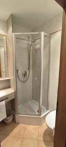 a shower with a glass door in a bathroom at Hotel Haus Wendelstein München City 100 m von U-Bahn in Munich