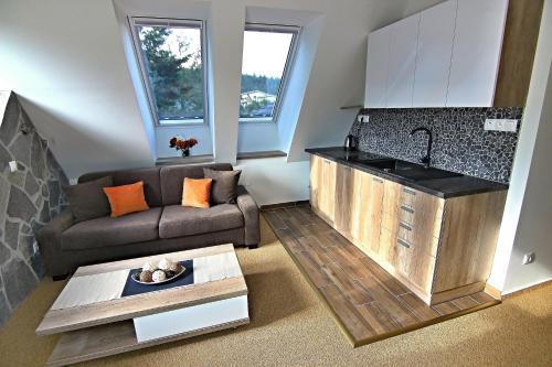 a living room with a couch and a sink at Apartment Luna in Tatranská Lomnica