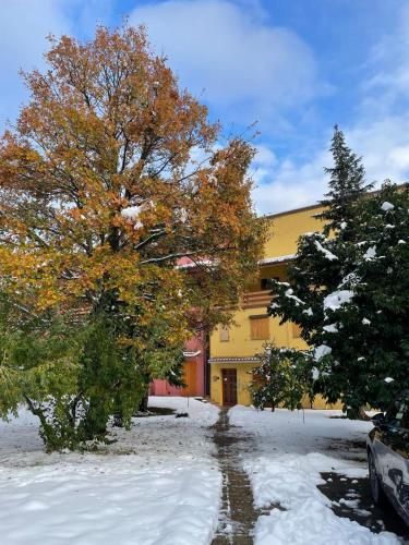 a tree in the snow next to a building at Casa con vista in Corniolo