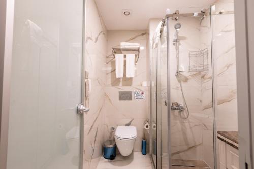 a bathroom with a shower and a toilet at Villa Sweet Hotel in Istanbul