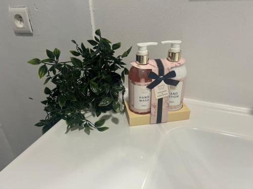 Φωτογραφία από το άλμπουμ του Premium Studio XXL Terrace Sky Video Screen σε Pavillons-sous-Bois