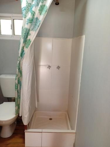 een kleine badkamer met een toilet en een douchegordijn bij Soleada delta in Estación Delta