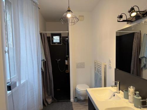 Boulieu-lès-AnnonayAppartement cosy et lumineux的浴室里有洗手池、马桶和镜子。