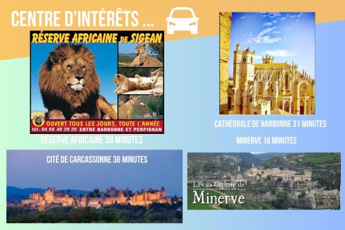 AzilleLe Chant des Cigales的相册照片