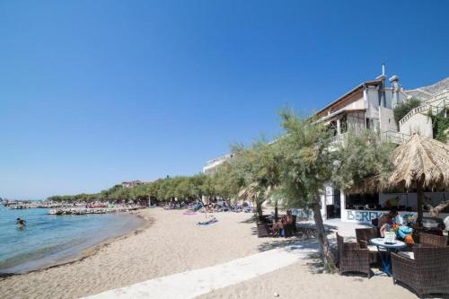 Apartments and Room Jure