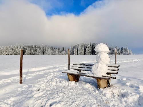 Gallery image of Haus Rosenbaum am Rennsteig Gruppenhaus - Pension - Begegnungsstätte bis 50 Personen in Neuhaus am Rennweg