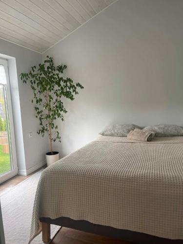 Ένα ή περισσότερα κρεβάτια σε δωμάτιο στο Cozy House By VP