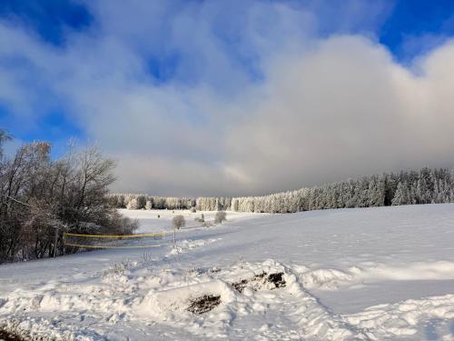 Gallery image of Haus Rosenbaum am Rennsteig Gruppenhaus - Pension - Begegnungsstätte bis 50 Personen in Neuhaus am Rennweg