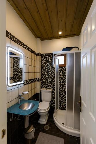 a bathroom with a toilet and a sink and a shower at Village Inn in Ano Chora