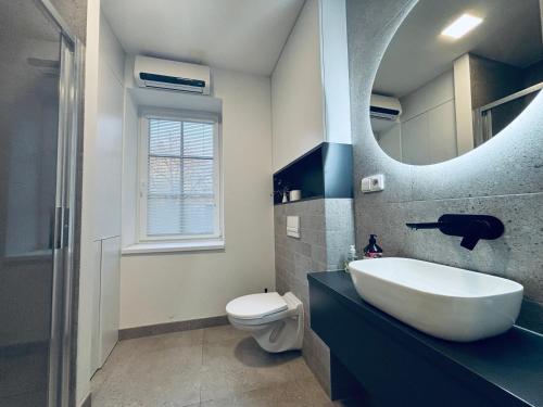 a bathroom with a sink and a toilet and a mirror at Apartmány Atrium in Litoměřice