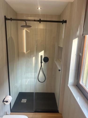 a shower with a glass door in a bathroom at White Swan Apartment in Peschiera del Garda