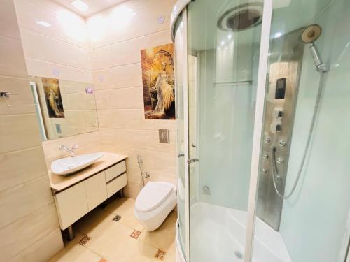 新德里South Delhi Res的带淋浴、马桶和水槽的浴室