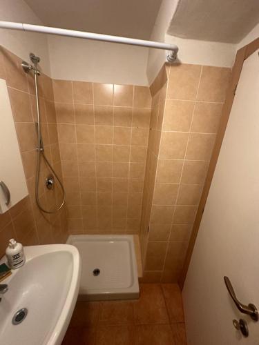 a small bathroom with a shower and a sink at Saint Anthony in Eggi