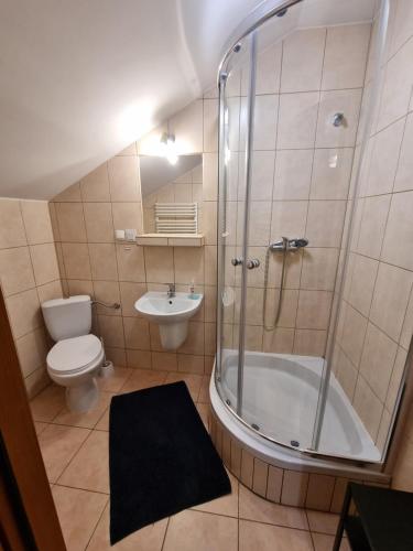 a bathroom with a shower and a toilet and a sink at Szczyt Wszystkiego in Szczyrk