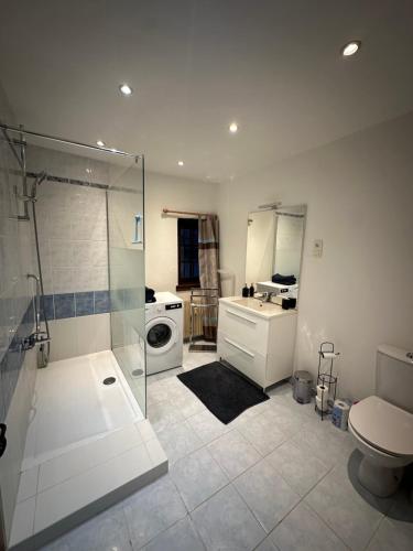 Koupelna v ubytování La Grenouille