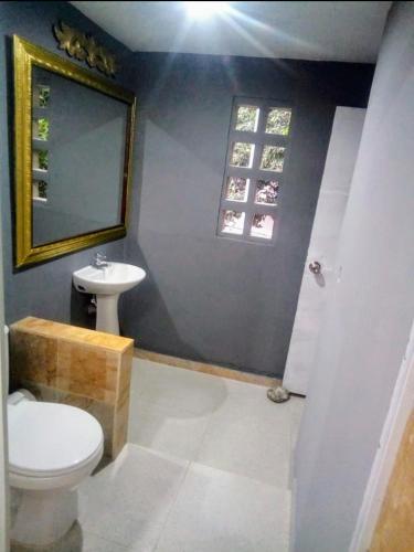 a bathroom with a toilet and a sink and a mirror at Casa Del Pintor in Santa Marta