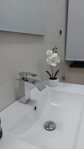 un lavello da cucina con un rubinetto e un fiore bianco di Casa Mamus 2 a Pescara