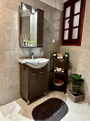 a bathroom with a sink and a mirror at Pindus Nest in Metsovo