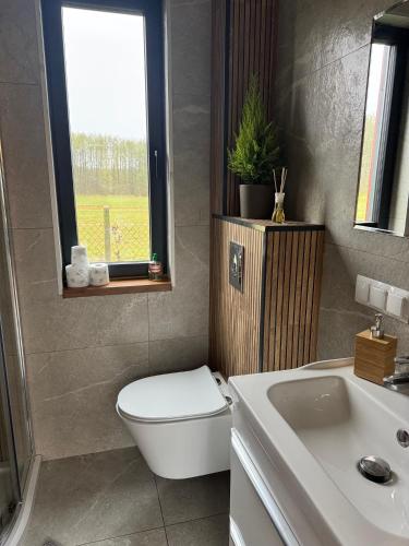 a bathroom with a toilet and a sink and a window at Agroturystyka Rajska Jabłoń in Maków
