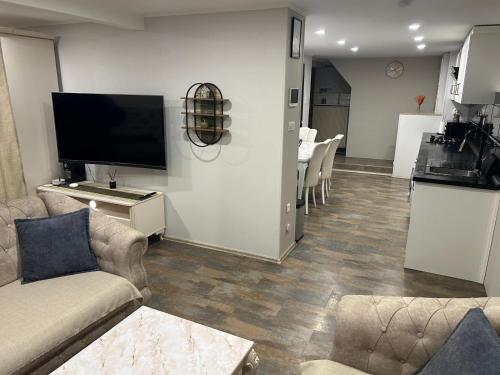 sala de estar con sofá y TV y cocina en Appartement, en Oberschaeffolsheim