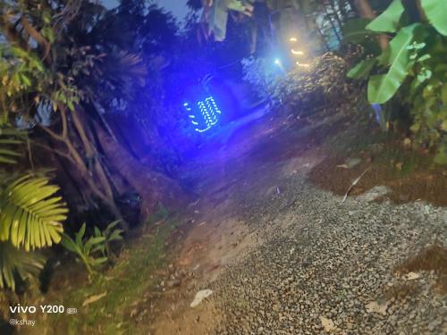 Vista noturna de uma rua com luz azul. em Shraddha Cottage em Nagaon