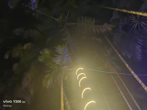 uma luz de rua em frente às palmeiras à noite em Shraddha Cottage em Nagaon