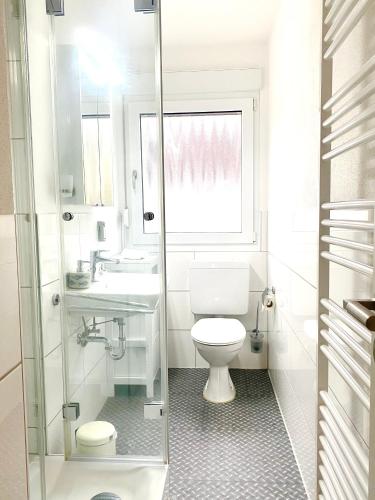 a bathroom with a toilet and a sink and a window at Traumhaftes Apartment mit Dachterrasse und Schlossblick in Marburg an der Lahn