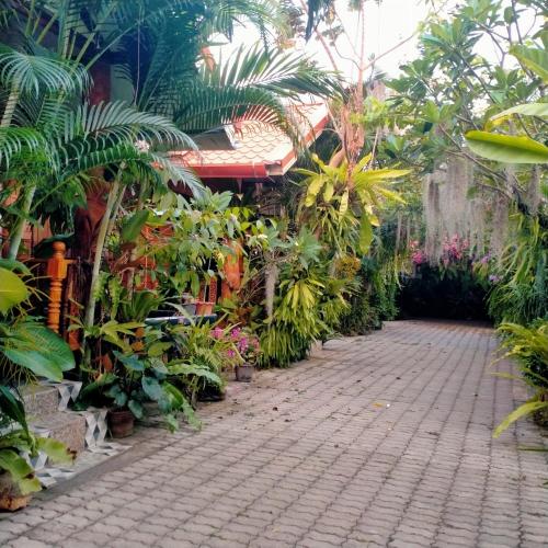 a garden with many plants and a brick walkway at Ouychai home stay resort in Chiang Mai