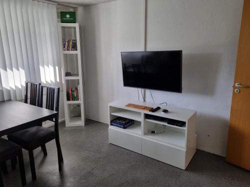 TV a/nebo společenská místnost v ubytování Basement apartment north in the city