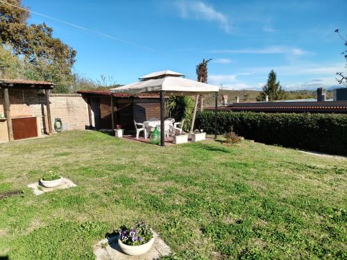 Vườn quanh Albachiara