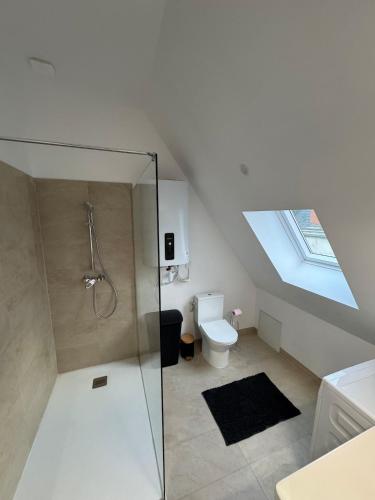 un bagno con doccia in vetro e WC di Séjour authentique aux portes de la Sologne a Vierzon