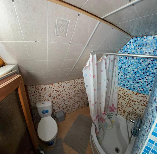 a small bathroom with a toilet and a shower at Pid skeleju in Rakhiv