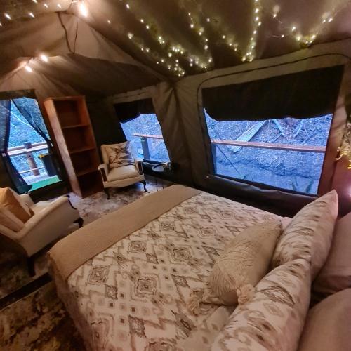 una camera con un letto in una tenda con luci di Squirrels Rest Treetop Glamping a Knysna