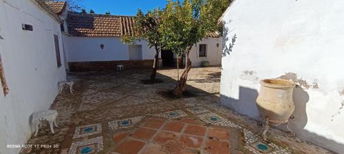 einen Innenhof mit einem Baum neben einem weißen Gebäude in der Unterkunft El Cortijillo de la Marquesa in Villar