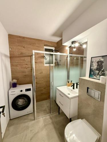 克拉约瓦Luna Music Apartment的浴室配有卫生间、盥洗盆和洗衣机。