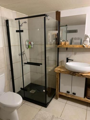 a bathroom with a shower and a toilet and a sink at Romantic Forest House Tršće in Tršće